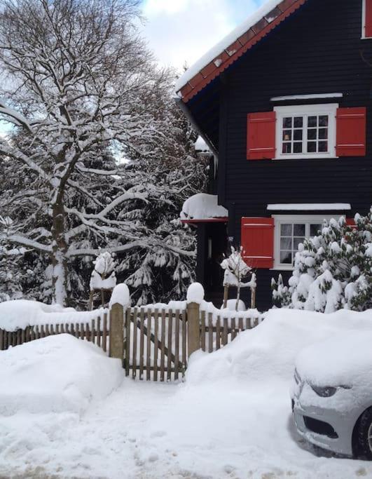 Villa Herzog - Ferienhaus Fuer 6 Personen In Braunlage, Harz ภายนอก รูปภาพ