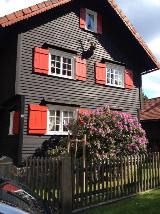 Villa Herzog - Ferienhaus Fuer 6 Personen In Braunlage, Harz ภายนอก รูปภาพ