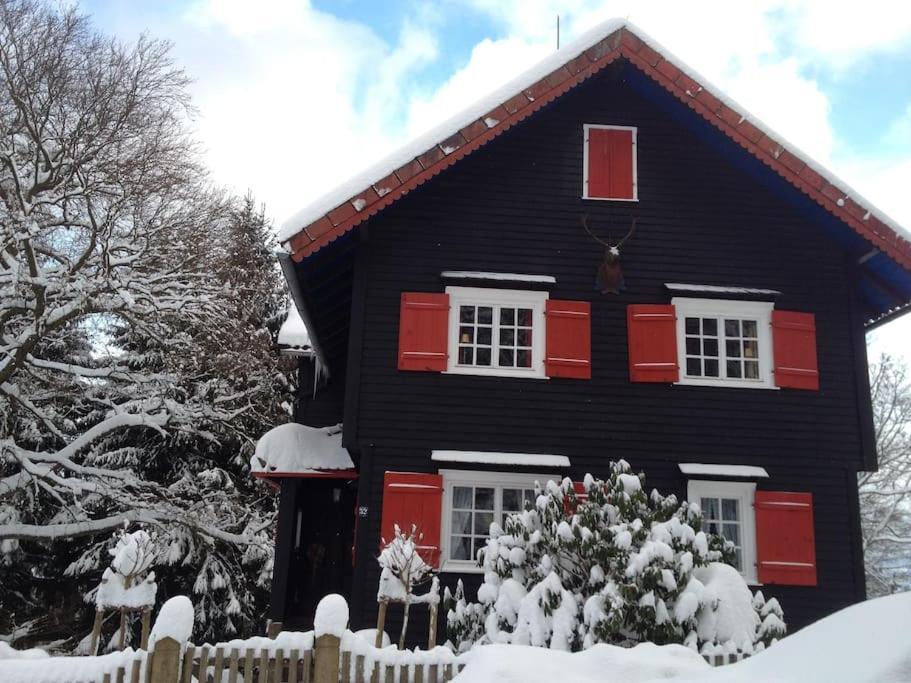 Villa Herzog - Ferienhaus Fuer 6 Personen In Braunlage, Harz ภายนอก รูปภาพ